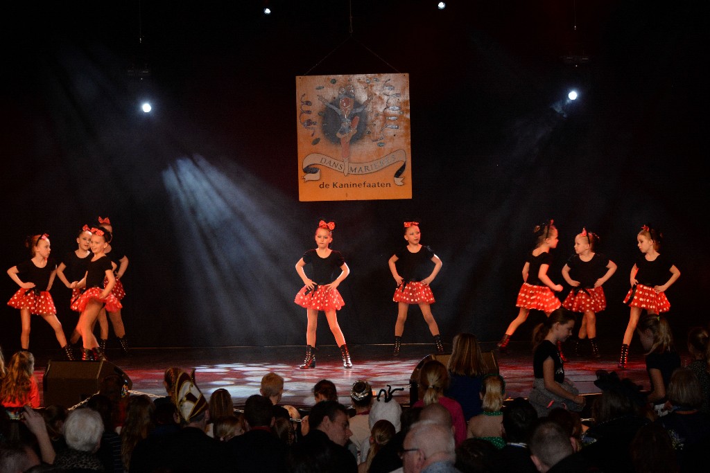 ../Images/Dansmariekefestival 2019 238.jpg